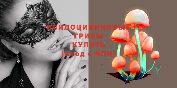 гидра Пестово