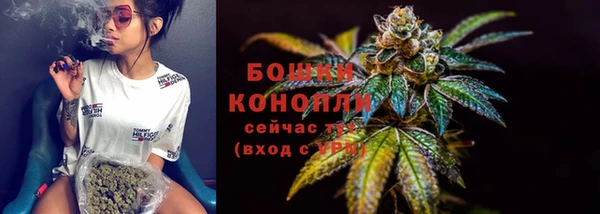 меф Пересвет