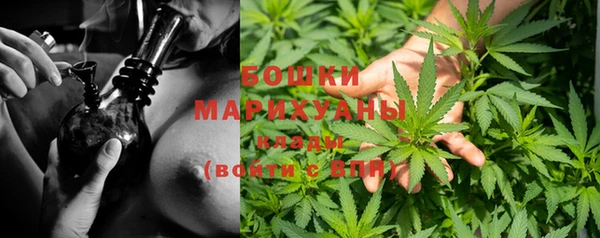 меф Пересвет