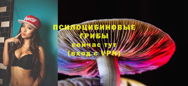 меф Пересвет