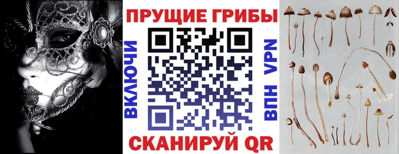 Галлюциногенные грибы GOLDEN TEACHER купить сайты kraken как зайти Абакан